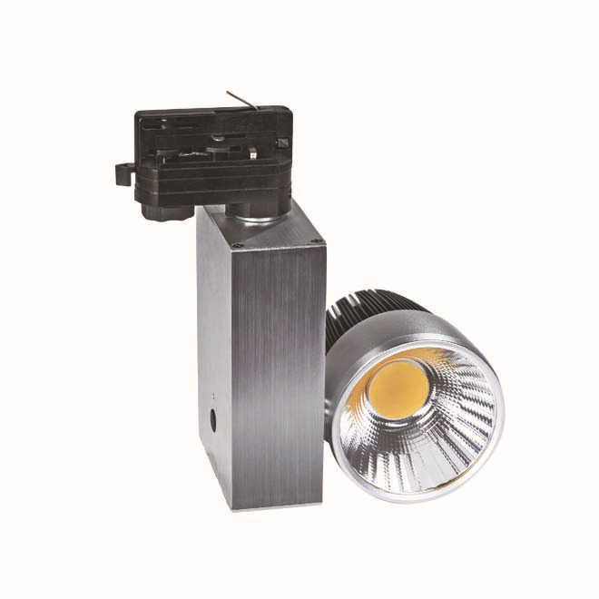 Professional Manufacturer Epistar chips 2*10W COB LED Tracklight