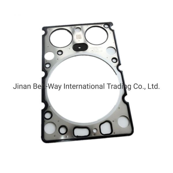 Steel Cylinder Head Gasket 612600040355 for Weichai Engine Wd615 USD Payment