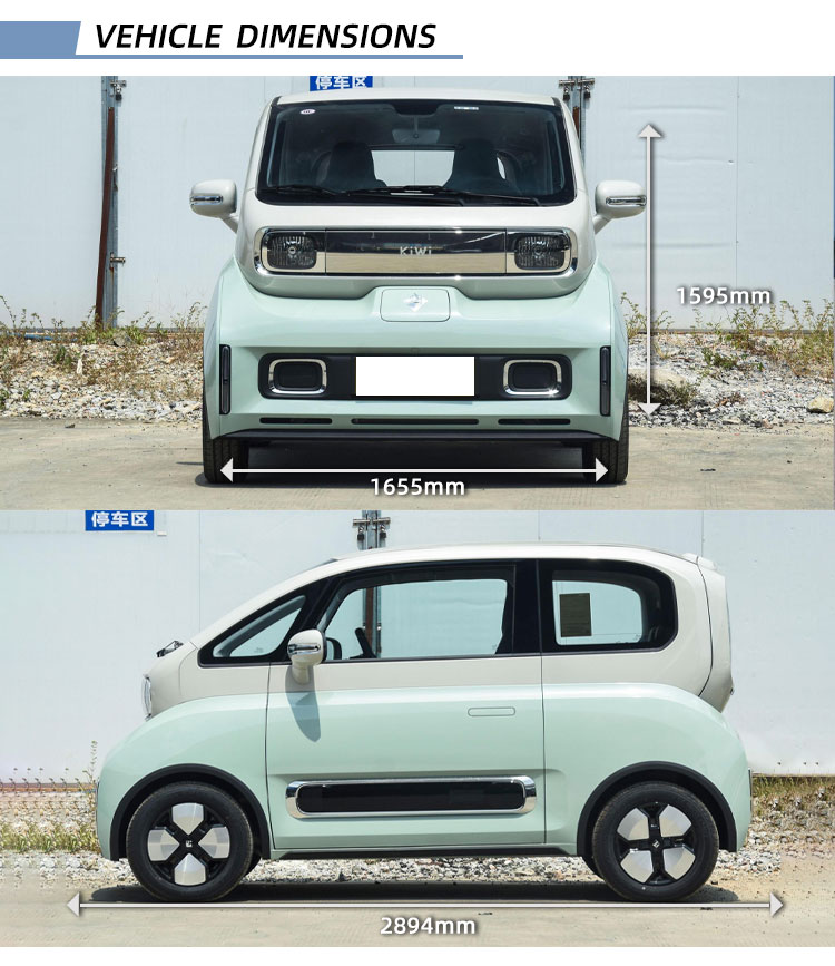 E100 E300 Ev Electric Car