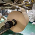 White/Brown Wood Pulp PE Coated Kraft Paper Single/Double Side Heat Resistant up