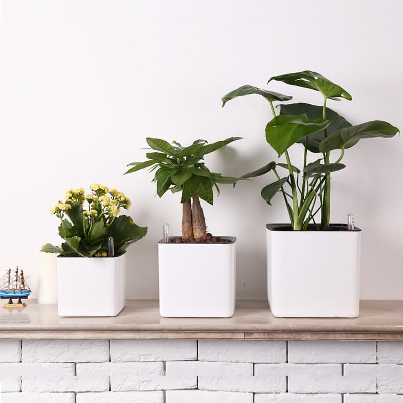 14cm Plastic Cube Self Watering Pots For Houseplants