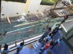 Stylish Pvb Laminated Glass
