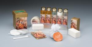 China hotel amenities set/bathroom set wholesale