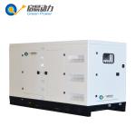 silent natural gas generator with ATS/CHP