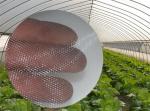 Insect Netting for Vegetable Gardens