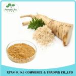 Hot Sale Free Sample Fresh Horseradish Extract Powder