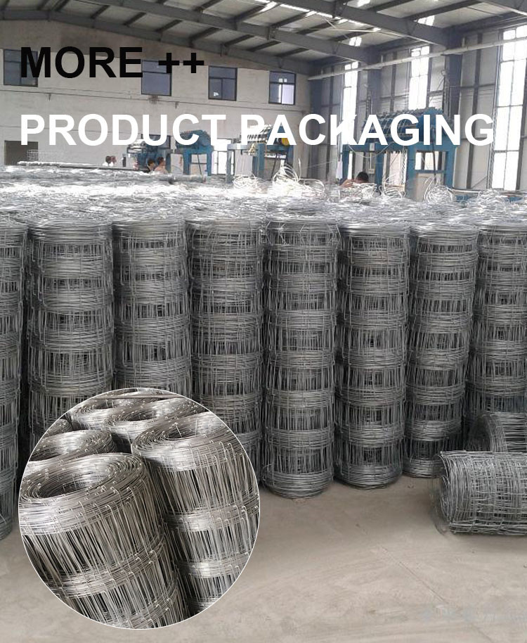 China Galvanized Agriculture Rural Farm Fencing 6 Feet For Farm
