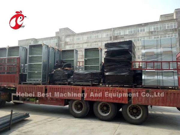 H Type Layer Battery Cage System 4 Rows Layer Poultry Farm Equipment CE Approval Sandy