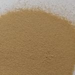 Washing Protease, Detergent Enzyme , Used In Washing Powder
