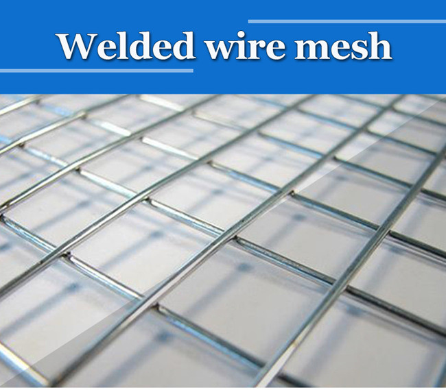 50×50×2.5mm Metal Cage Powder Coated Wire Mesh Panels 2.2m Galvanized Steel