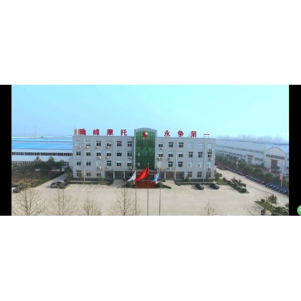 ChineseTricycleFactory2500*1000Size And Open Body Type Motor Electric Carry Cargo Rickshaw Electric Tricycle