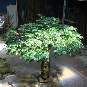 China Bodhi Leaves Artificial Ficus Religiosa Tree Fiberglass / Wood Material wholesale