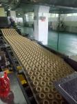 600mm S/S Rotary Moulder Biscuit Machinefood shop food factory