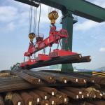 Single Operator 220V Lifter Magnet , EPM Power Lift Magnet 1000kg