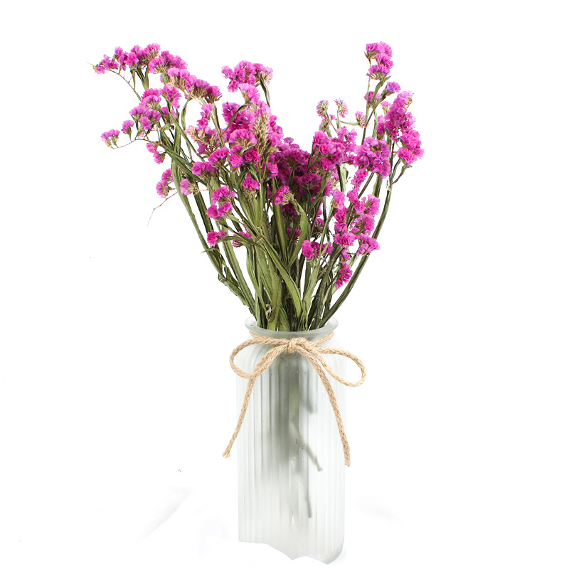 Forget Me Not Limonium Statice Flower , Everlasting Preserved Fresh Flower