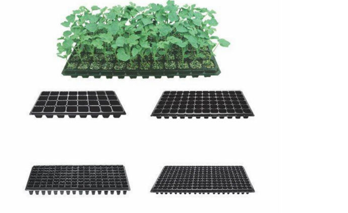 72 cells vacuum forming vegetable fruit nursery seed plastic trays