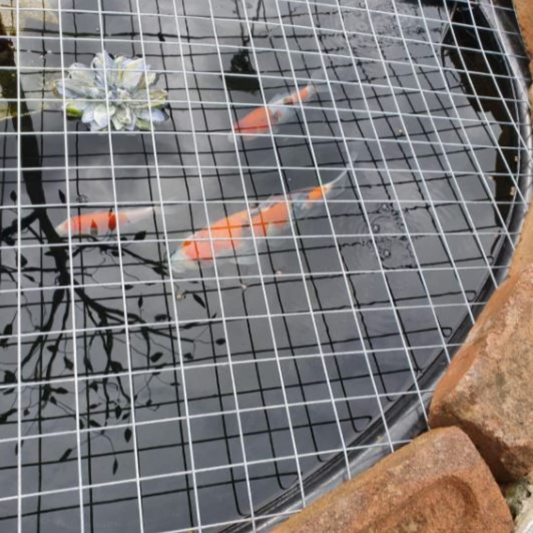 Special Design Widely Used 1/4"x 1/4" Hot Dipped Galvanized Welded Wire Mesh Roll