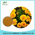 Eye Health Product Marigold Powder Extract Lutein 5 % - 20 %