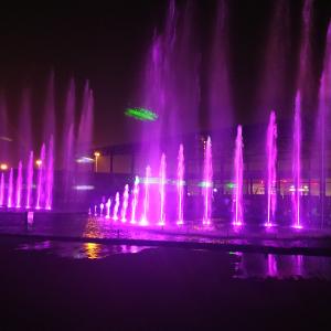 China Modern LED Lighting Musical Fountain Park Equipment wholesale