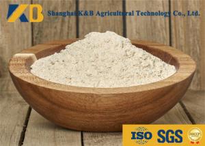 China Sports Nutrition Certified Brown Rice Protein Powder For Muscle Build Drinking wholesale