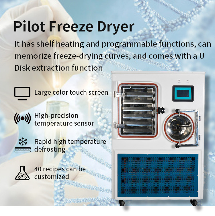 Laboratory Lyophilizer Dryer Freeze Drying Machine Fruit Vegetable