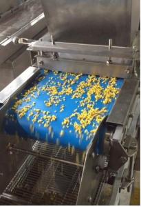 China Automatic Coconut Granule Spreader Machine For Sales wholesale