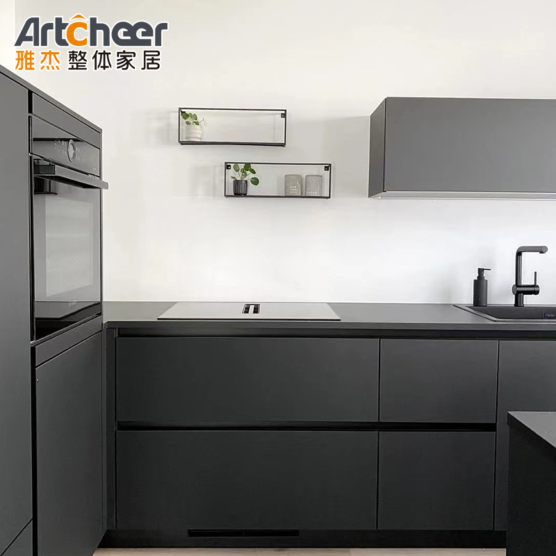 Allure Kitchen Cabinets Door Handles and Dish Drying Rack for Kitchen Counter Cabinet