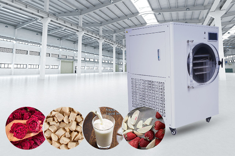 Electric Heating Small Home Freeze Dryer For Noise Level ≤50dB