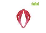 26g Dolphin Car Air Freshener Eliminate Odors And Fresh Air
