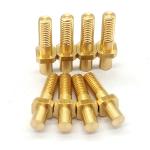 Micro Custom Brass CNC Parts Polishing / Coating Brass Machine Screws