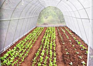 China Hydrophobic Keep Temperature / Hydrophillic Keep Wet Nonwoven Fabric for Agriculture wholesale