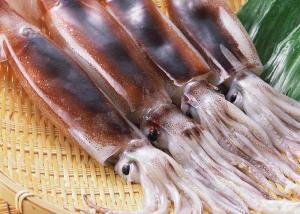 China Argentina Squid Dried Salted Squid Bqf 10 Kg Net Weight 100-150 Size wholesale