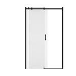 black Stainless Sliding 6mm Tempered Glass Shower Door1200X1950mm