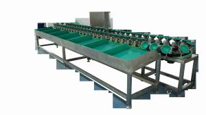China 1000g Tray Fruit Sorting System wholesale