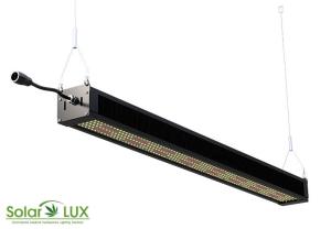 China 120° 630W Horticulture Full Spectrum IP65 LED Grow Lights wholesale