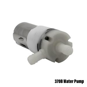 China 300mmHg Peristaltic Micro DC Water Pump 12V For Drinking DIY Auto Watering Equipment wholesale