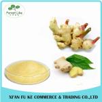 100% Natural Yellow Ginger Extract Powder 10 :1