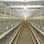 50000 Birds 5tiers Battery Chicken Cage Equipment Laying Hens Use ISO9001