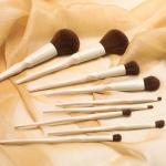 PBT hair 9pcs Makeup Brush Set