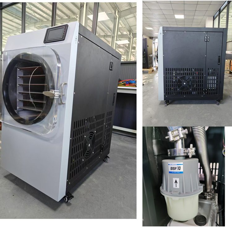 Small Vacuum Home Freeze Dryer Machine Food 10KG Air Cooling