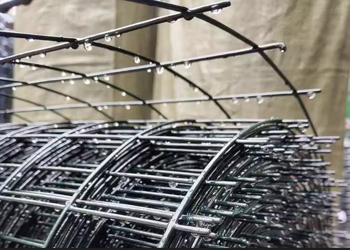 Customizable Green PVC Coated Welded Wire Mesh Rolls Low Carbon Steel Q195 Free Samples