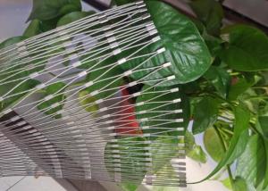 China Stainless Steel Rope Mesh Fencing , Security Bird Cage Mesh wholesale