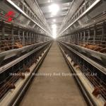 China Most Popular H Type Automatic Poultry Farming Cage System For Large Farm Adela for sale