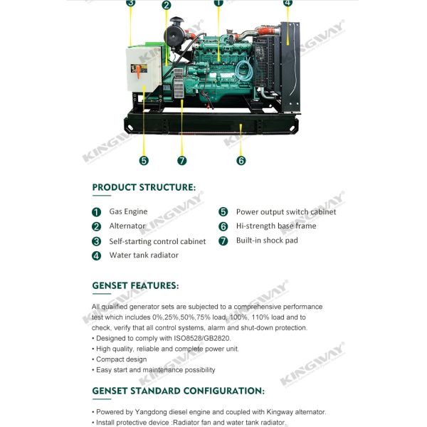 Customized Gas Generator 50HZ 60HZ Silent Natural Gas Generator