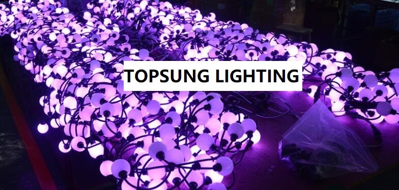 DMX 50MM RGB LED Landscape Lights Addressable Ws2811 IP65 For Outdoor