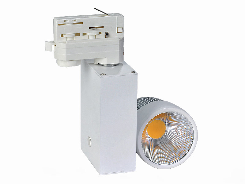 Professional Manufacturer Epistar chips 2*10W COB LED Tracklight