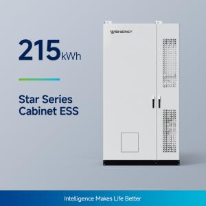 China 100kW/215kWh All-In-One BESS Battery System wholesale