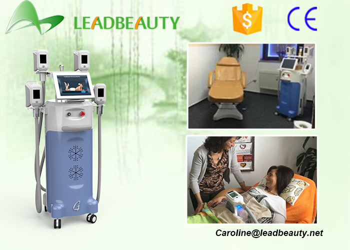 LB-C4 four handpiece work together Newest Designed vertical Fat Freezing cryolipolysis machine