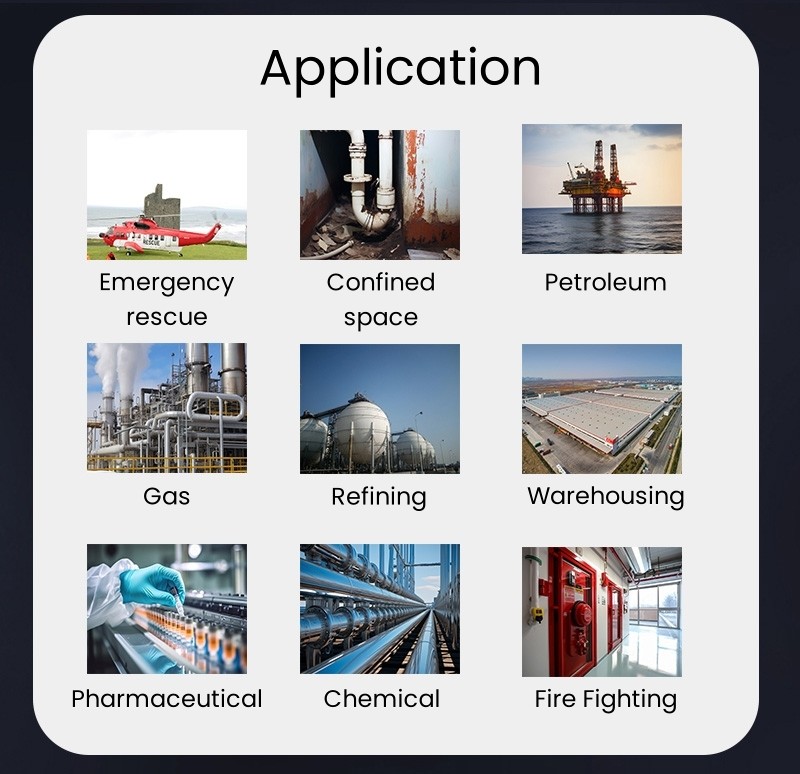 Ms400-S Portable Multi-Gas Detector with Intelligent Digital Sensors