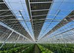 Indoor Greenhouse Solar System Farming Innovative Dynamic Photovoltaic Frameless